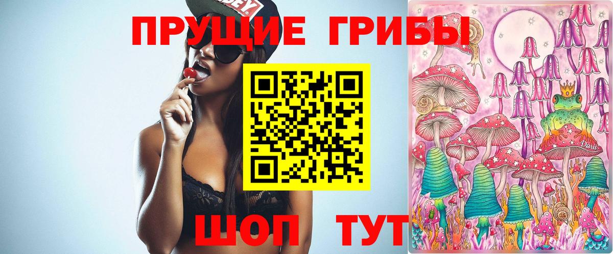 Псилоцибиновые грибы ЛСД  Псилоцибиновые грибы мицелий  Вход с VPN  Благодарный 