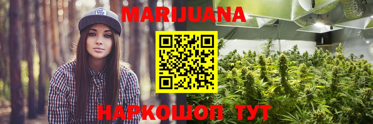 Каннабис Ganja  Бошки Шишки гибрид  Бошки Шишки план  Благодарный  Вход с VPN 